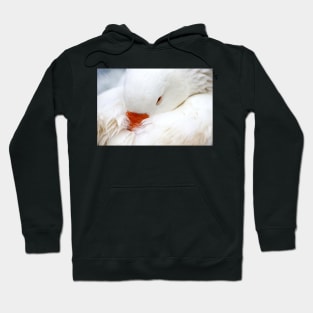 White Goose Hoodie